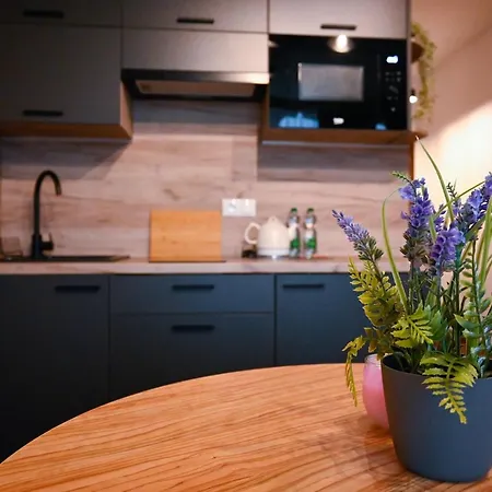 Zielone Z Aneksem Kuchennym