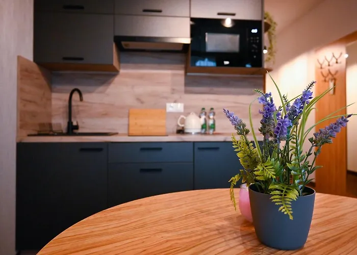 Zielone Z Aneksem Kuchennym